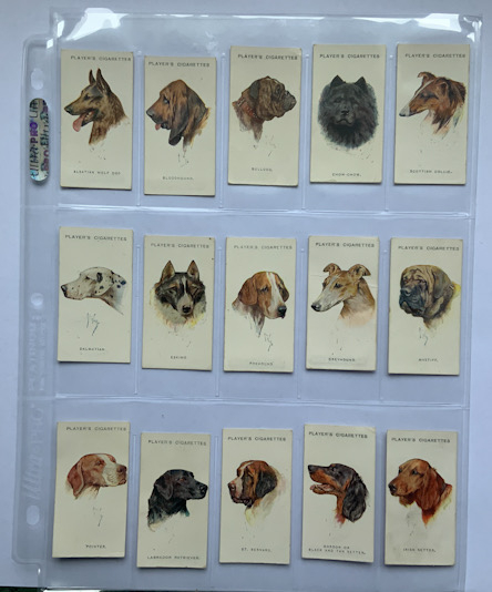 Players 1927 Dogs A series 25 Cigarette Cards set